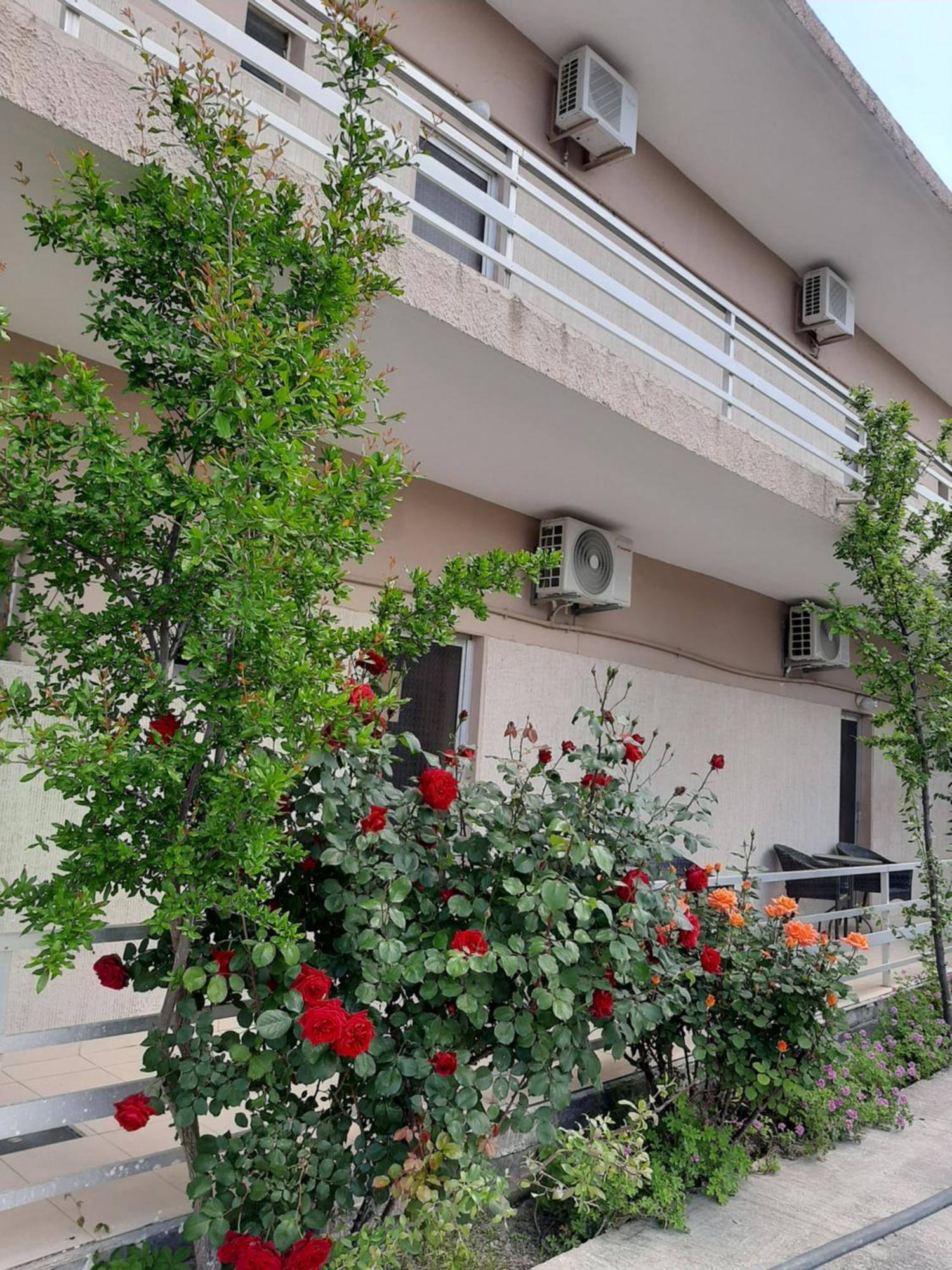 Studios Mona Agios Georgios  Esterno foto